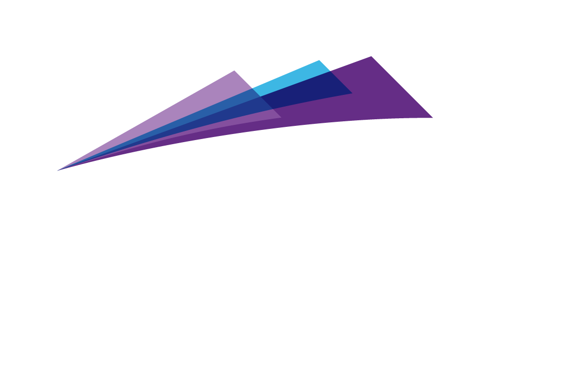 Purple Mountain Technology piping system surge consultant 